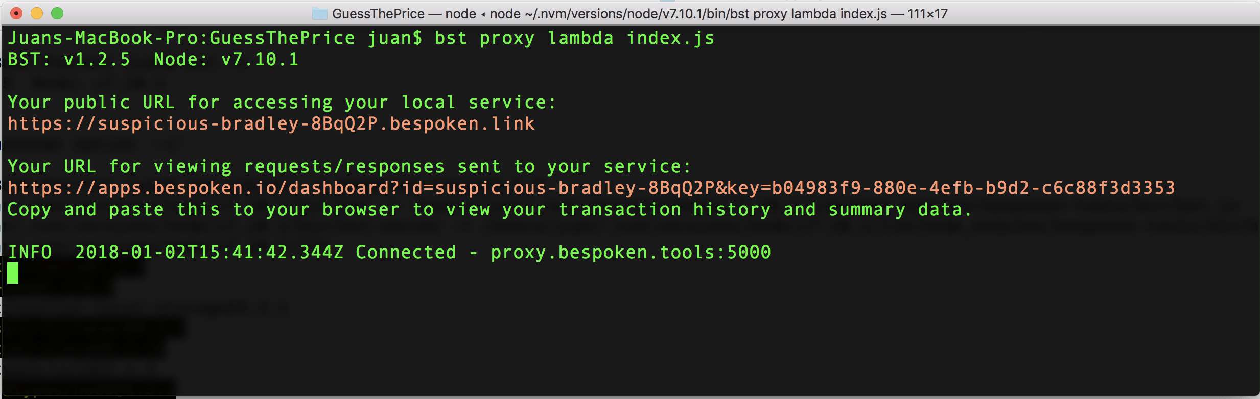 Bespoken Proxy After Image
